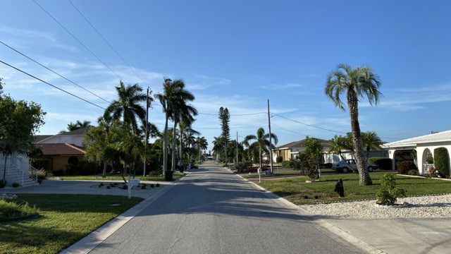 Palm-lined street in San Remo Shores
